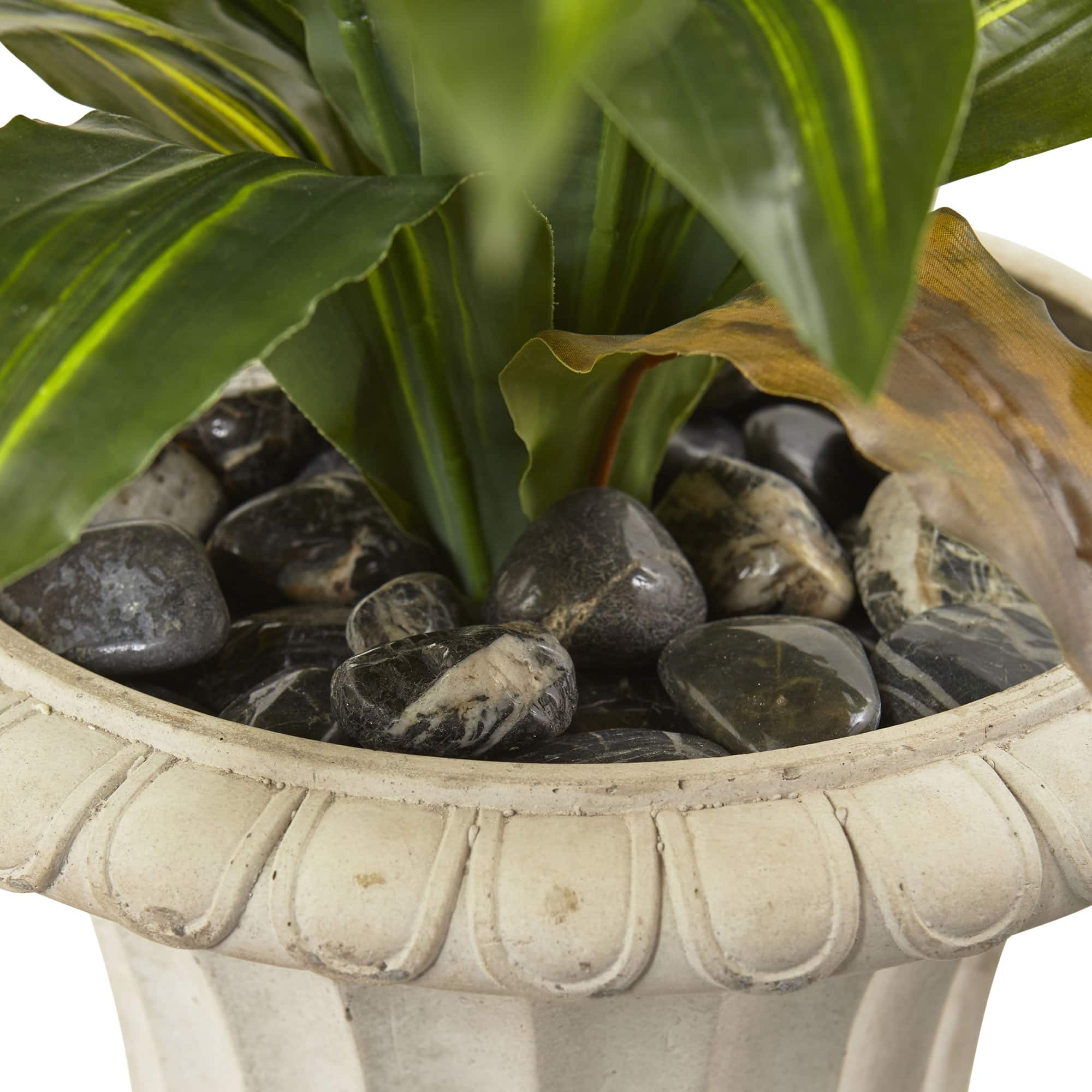 5ft. Dracaena Plant in Urn